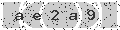 verify code