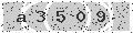 verify code