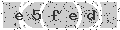 verify code