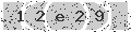 verify code
