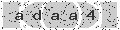verify code