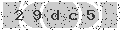 verify code