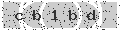 verify code