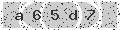 verify code