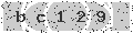 verify code