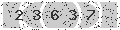 verify code