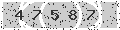 verify code