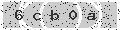 verify code