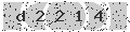 verify code