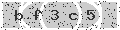 verify code