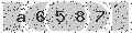 verify code