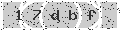verify code