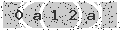 verify code