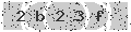 verify code
