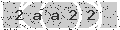 verify code