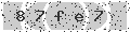 verify code