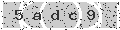 verify code