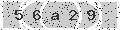 verify code